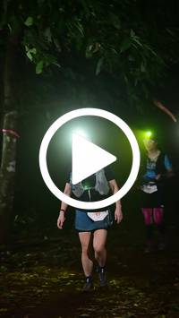 BIB:  <button type="button" onclick="openModal(27808717)" class="btn btn-primary btn-sm float-right" data-toggle="modal" data-target=".modal-high-quality">
                <i class="fa fa-download"></i> Download
                </button>